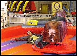 Byron on bull